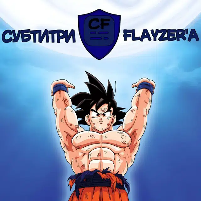 Flayzer